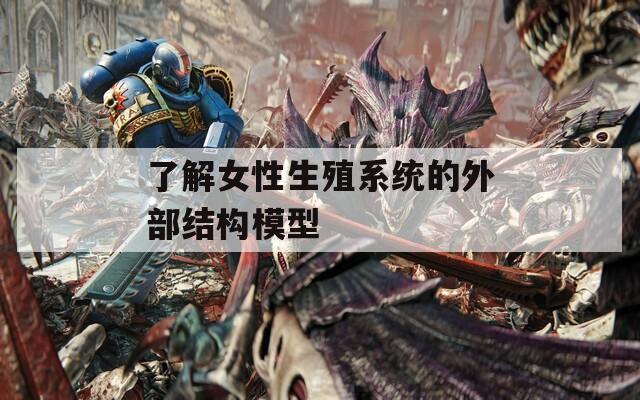 了解女性生殖系统的外部结构模型