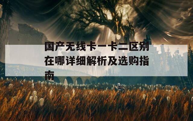 国产无线卡一卡二区别在哪详细解析及选购指南