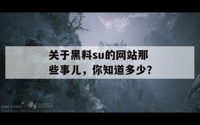关于黑料su的网站那些事儿，你知道多少？