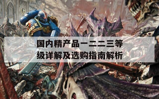 国内精产品一二二三等级详解及选购指南解析