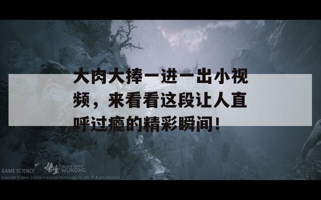 大肉大捧一进一出小视频，来看看这段让人直呼过瘾的精彩瞬间！
