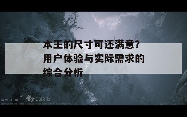 本王的尺寸可还满意？用户体验与实际需求的综合分析
