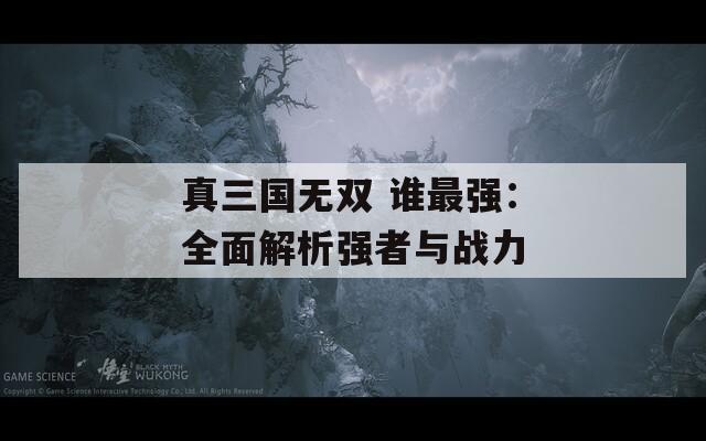 真三国无双 谁最强：全面解析强者与战力
