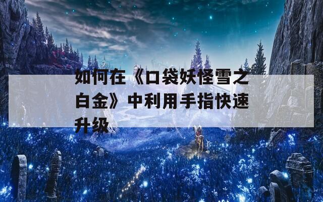 如何在《口袋妖怪雪之白金》中利用手指快速升级