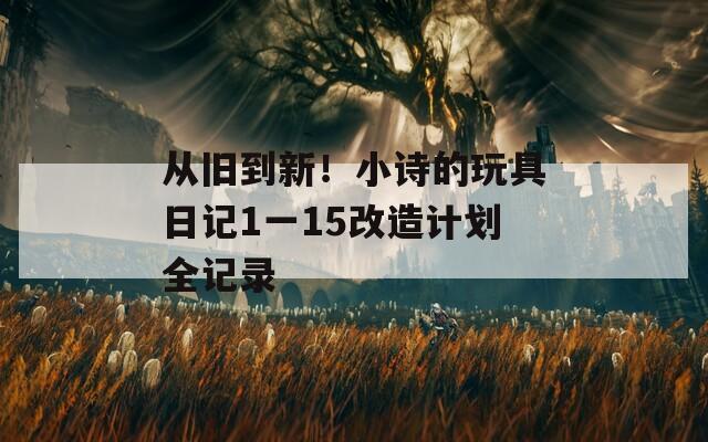从旧到新！小诗的玩具日记1一15改造计划全记录