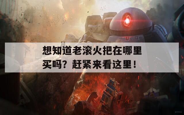 想知道老滚火把在哪里买吗？赶紧来看这里！