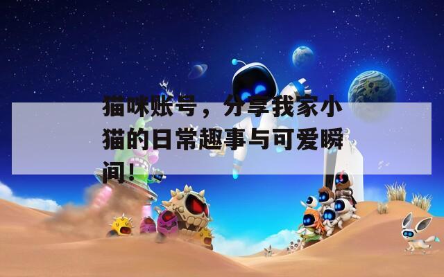 猫咪账号，分享我家小猫的日常趣事与可爱瞬间！