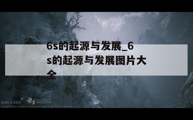 6s的起源与发展_6s的起源与发展图片大全