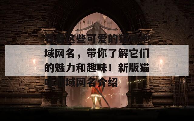 看看这些可爱的猫咪地域网名，带你了解它们的魅力和趣味！新版猫咪地域网名介绍
