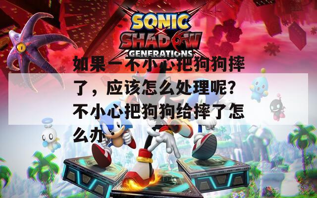 如果一不小心把狗狗摔了，应该怎么处理呢？不小心把狗狗给摔了怎么办