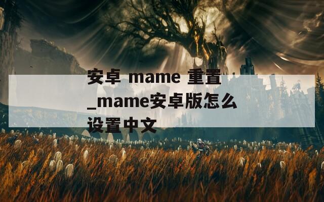 安卓 mame 重置_mame安卓版怎么设置中文
