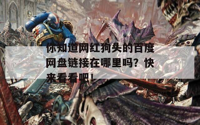 你知道网红狗头的百度网盘链接在哪里吗？快来看看吧！