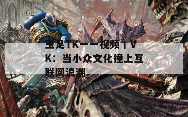 玉足TK一一视频丨VK：当小众文化撞上互联网浪潮