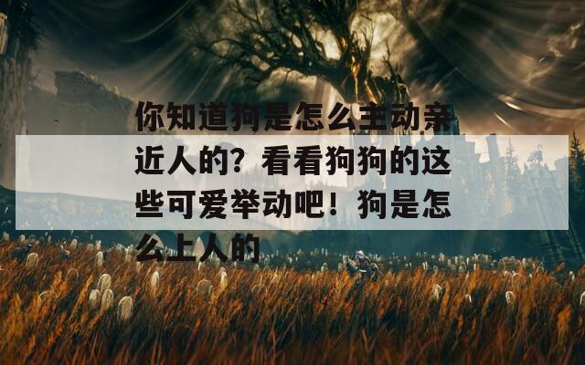 你知道狗是怎么主动亲近人的？看看狗狗的这些可爱举动吧！狗是怎么上人的