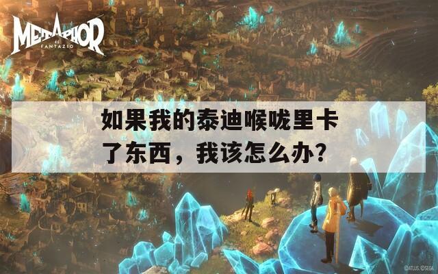 如果我的泰迪喉咙里卡了东西，我该怎么办？