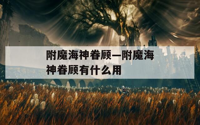 附魔海神眷顾—附魔海神眷顾有什么用