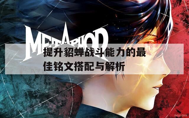提升貂蝉战斗能力的最佳铭文搭配与解析