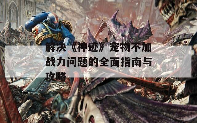 解决《神迹》宠物不加战力问题的全面指南与攻略
