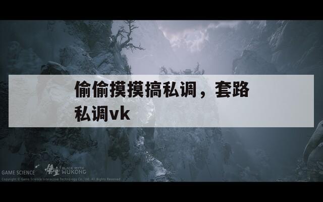 偷偷摸摸搞私调，套路私调vk