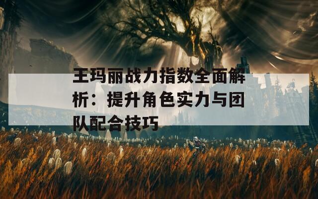 王玛丽战力指数全面解析：提升角色实力与团队配合技巧