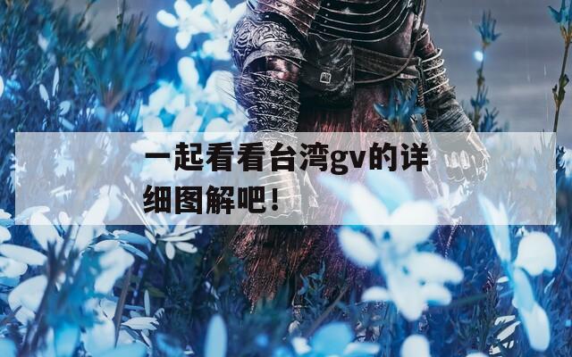 一起看看台湾gv的详细图解吧！