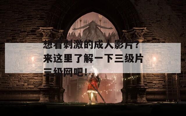 想看刺激的成人影片？来这里了解一下三级片三级网吧！