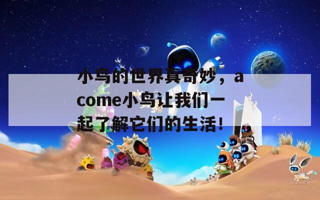 小鸟的世界真奇妙，acome小鸟让我们一起了解它们的生活！