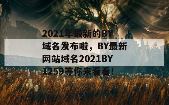 2021年最新的BY域名发布啦，BY最新网站域名2021BY1259等你来看看！