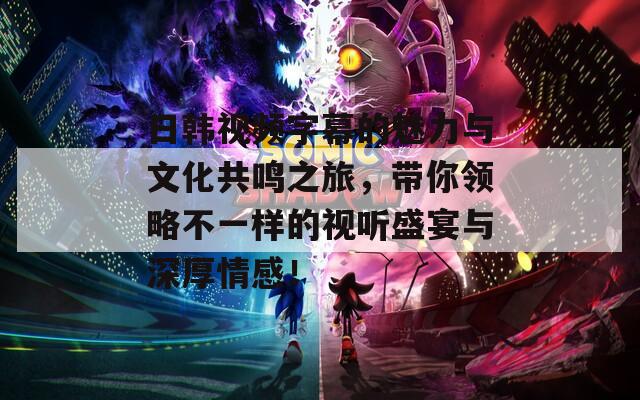 日韩视频字幕的魅力与文化共鸣之旅，带你领略不一样的视听盛宴与深厚情感！