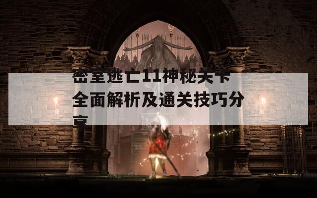 密室逃亡11神秘关卡全面解析及通关技巧分享