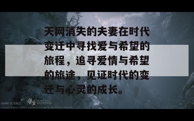 天网消失的夫妻在时代变迁中寻找爱与希望的旅程，追寻爱情与希望的旅途，见证时代的变迁与心灵的成长。