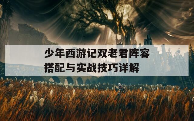 少年西游记双老君阵容搭配与实战技巧详解
