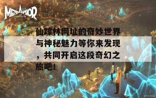 仙踪林网址的奇妙世界与神秘魅力等你来发现，共同开启这段奇幻之旅吧！