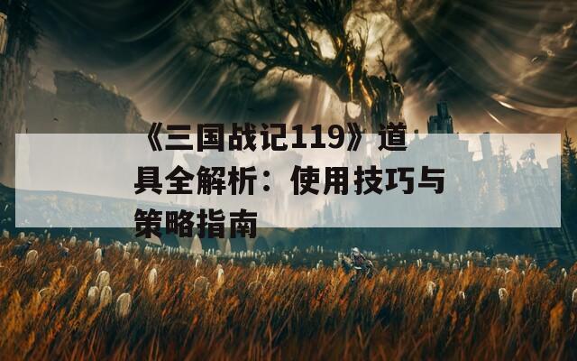 《三国战记119》道具全解析：使用技巧与策略指南