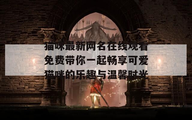 猫咪最新网名在线观看免费带你一起畅享可爱猫咪的乐趣与温馨时光