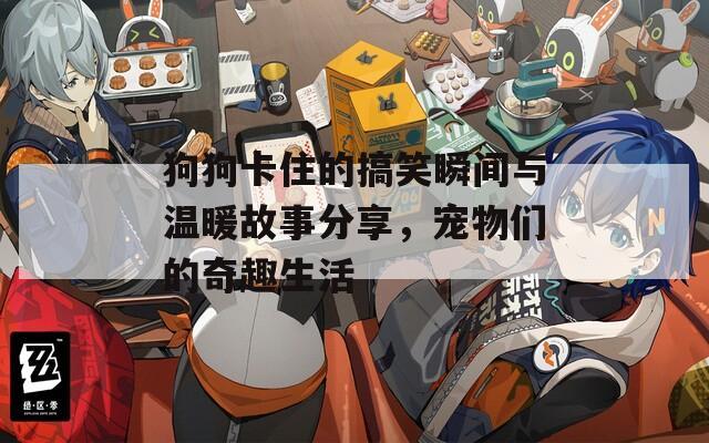 狗狗卡住的搞笑瞬间与温暖故事分享，宠物们的奇趣生活