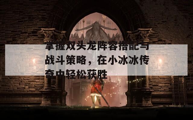 掌握双头龙阵容搭配与战斗策略，在小冰冰传奇中轻松获胜
