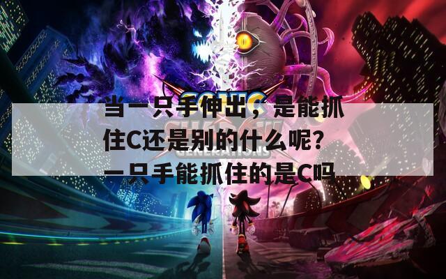当一只手伸出，是能抓住C还是别的什么呢？一只手能抓住的是C吗