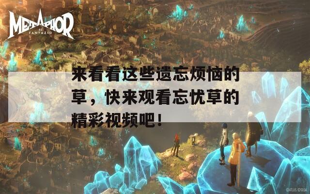 来看看这些遗忘烦恼的草，快来观看忘忧草的精彩视频吧！
