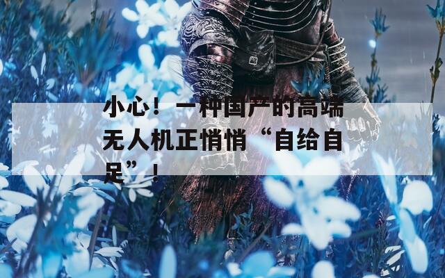 小心！一种国产的高端无人机正悄悄“自给自足”！