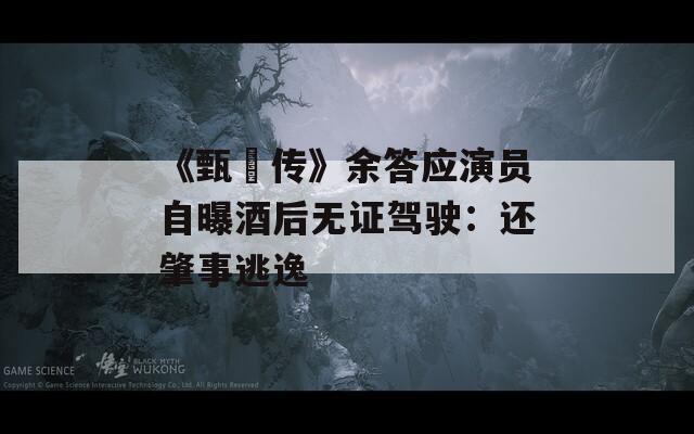 《甄嬛传》余答应演员自曝酒后无证驾驶：还肇事逃逸