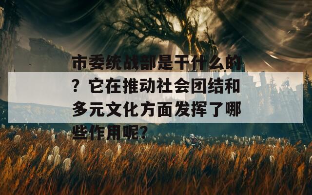 市委统战部是干什么的？它在推动社会团结和多元文化方面发挥了哪些作用呢？