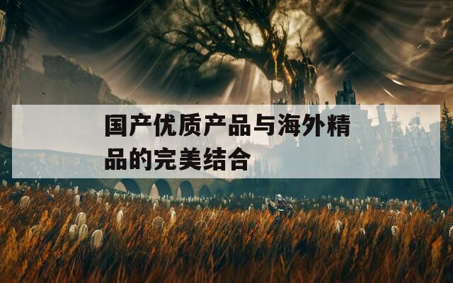 国产优质产品与海外精品的完美结合