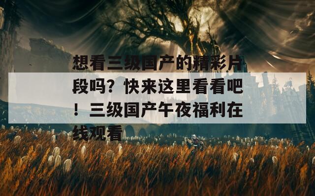 想看三级国产的精彩片段吗？快来这里看看吧！三级国产午夜福利在线观看
