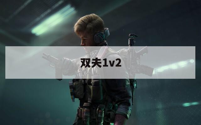 双夫1v2