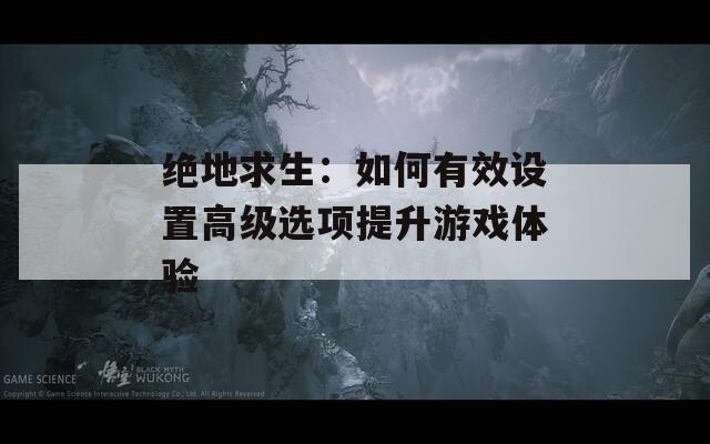 绝地求生：如何有效设置高级选项提升游戏体验