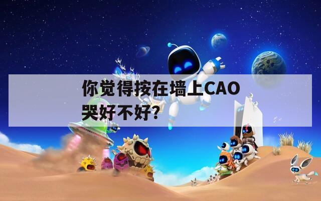 你觉得按在墙上CAO哭好不好？