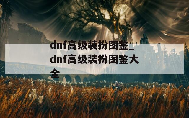dnf高级装扮图鉴_dnf高级装扮图鉴大全