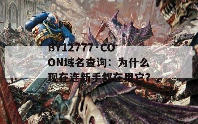BY12777·COON域名查询：为什么现在连新手都在用它？