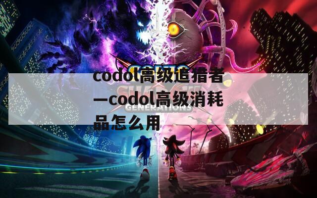 codol高级追猎者—codol高级消耗品怎么用
